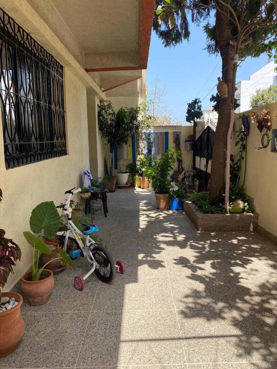 Dar Shamsy Hotell Souani  Exteriör bild