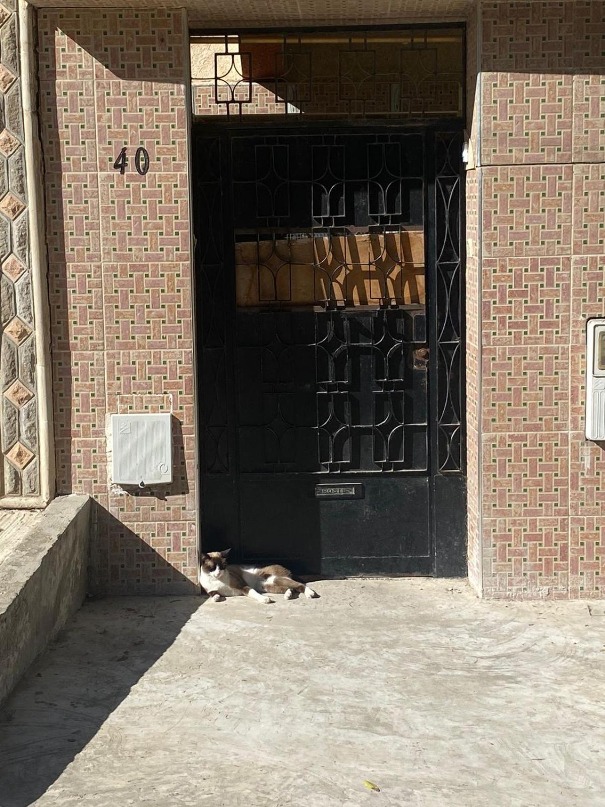 Dar Shamsy Hotell Souani  Exteriör bild